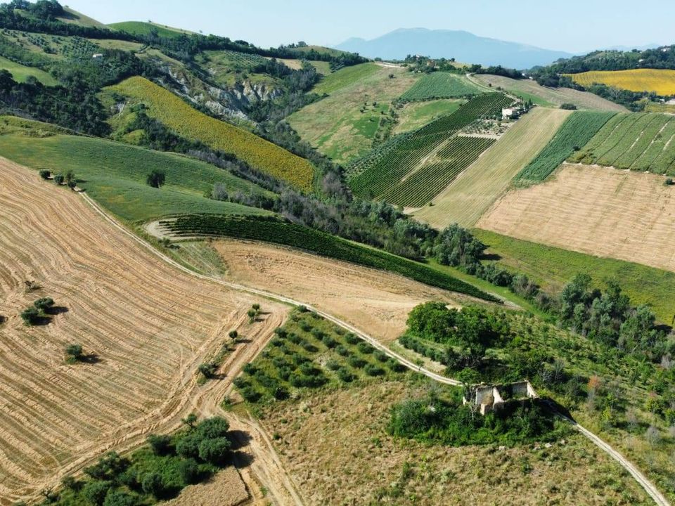 Casa de campo en Castignano, Ascoli Piceno - foto 5