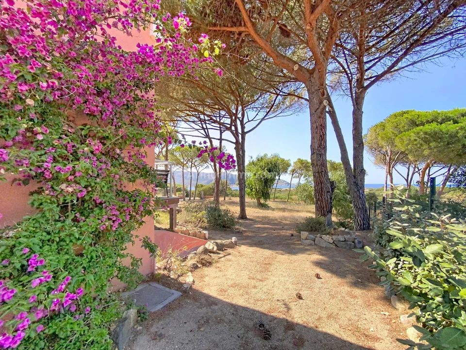 Villa en Calvi, Haute-Corse - foto 2
