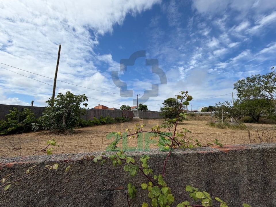 Helårsgrund i Vieira de Leiria, Leiria - foto 3