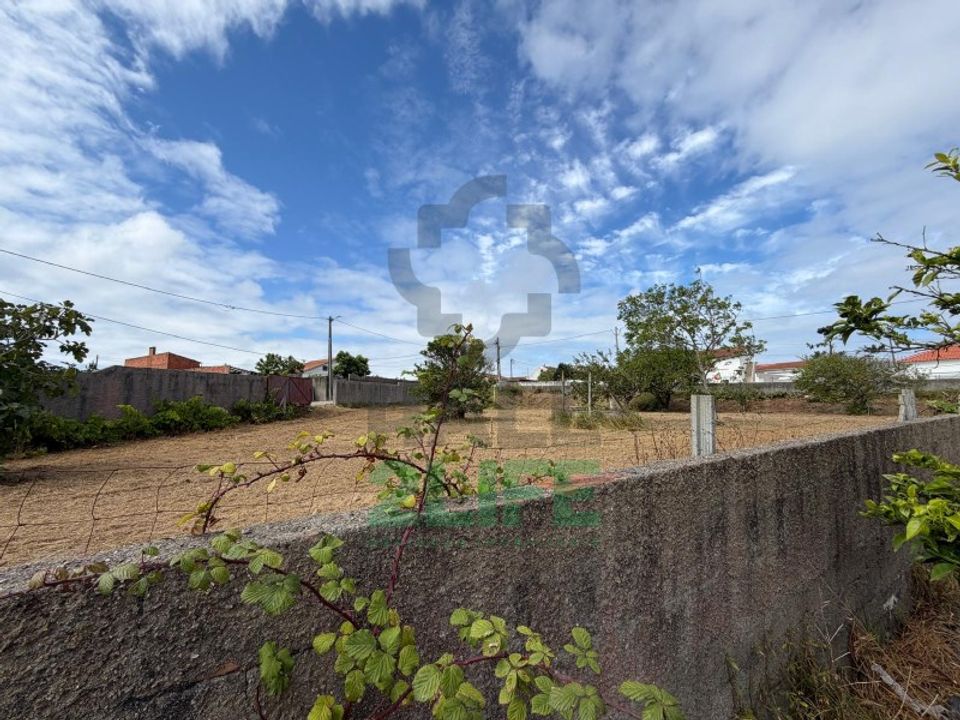 Helårsgrund i Vieira de Leiria, Leiria - foto 5