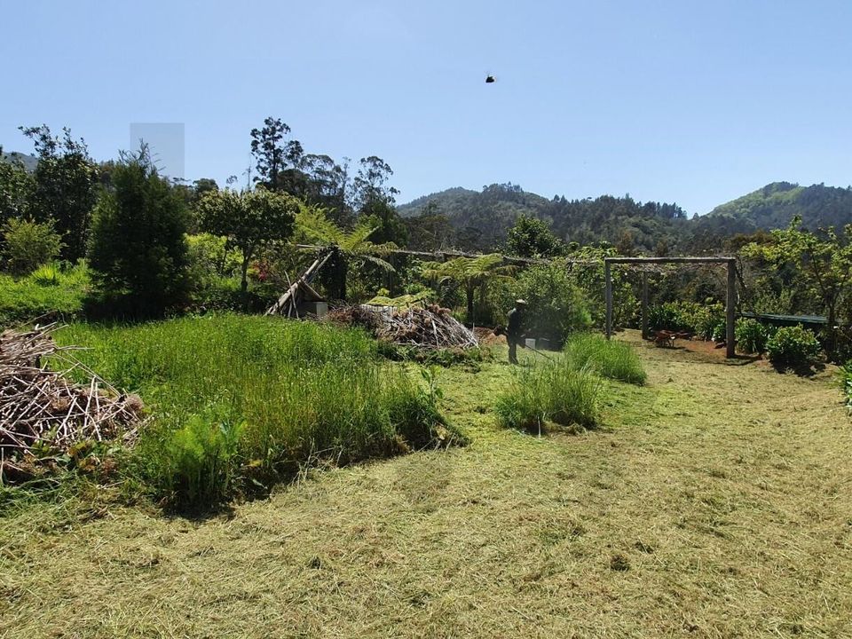 Helårsgrund i Santana, Madeira - foto 1