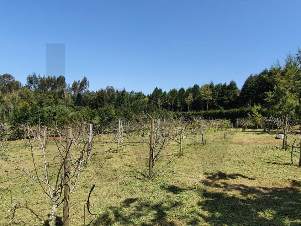 Helårsgrund i Santana, Madeira - foto 4
