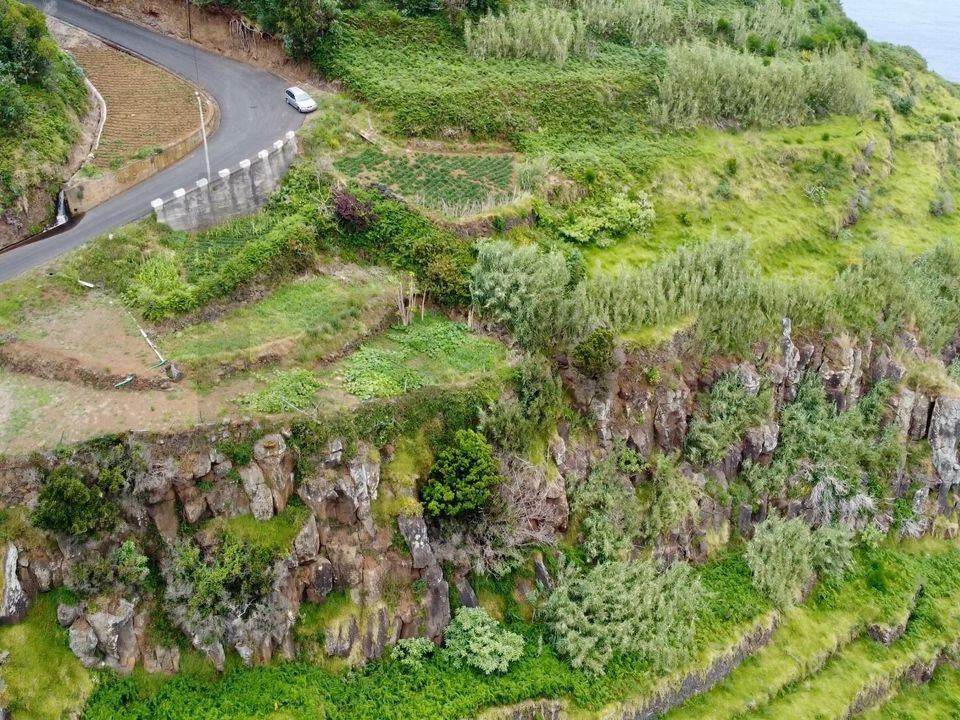 Tomt i Porto Moniz, Madeira - bilde 3