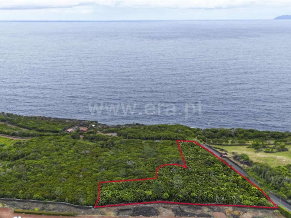 Tomt i Sao Roque do Pico, Pico - bilde 1