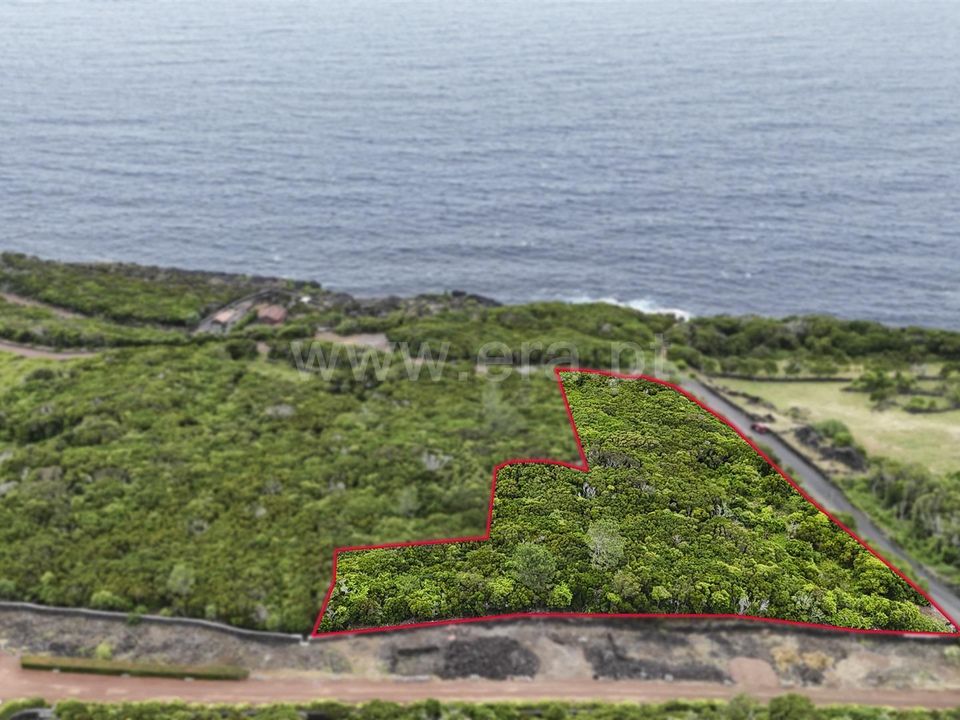 Tomt i Sao Roque do Pico, Pico - bilde 2
