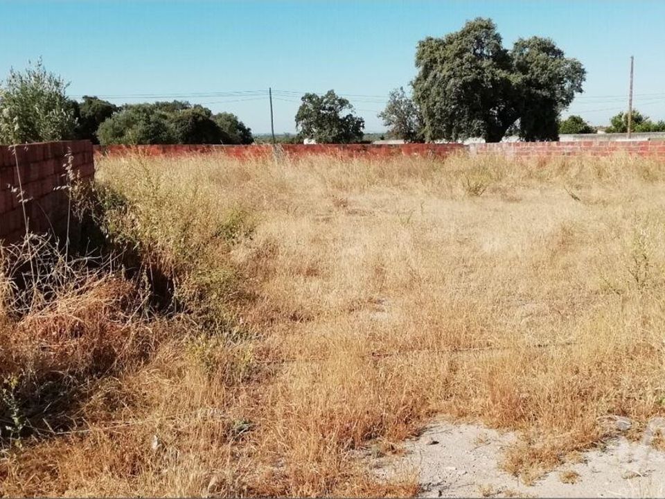 Terreno Sousel, Portalegre - foto 4