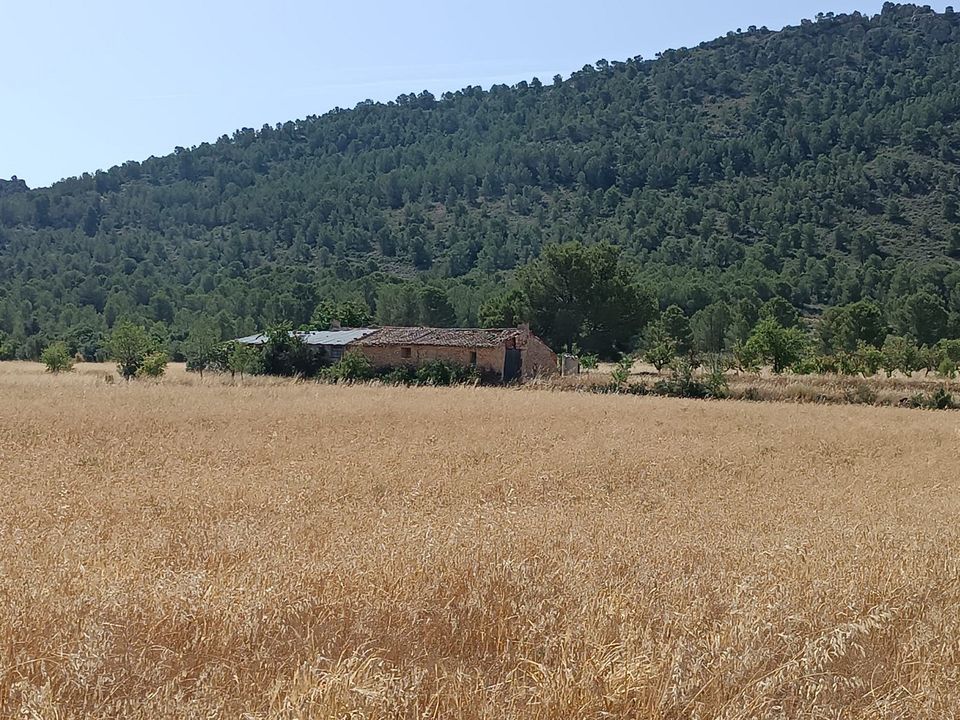 Ruína em Yecla, Murcia - foto 3