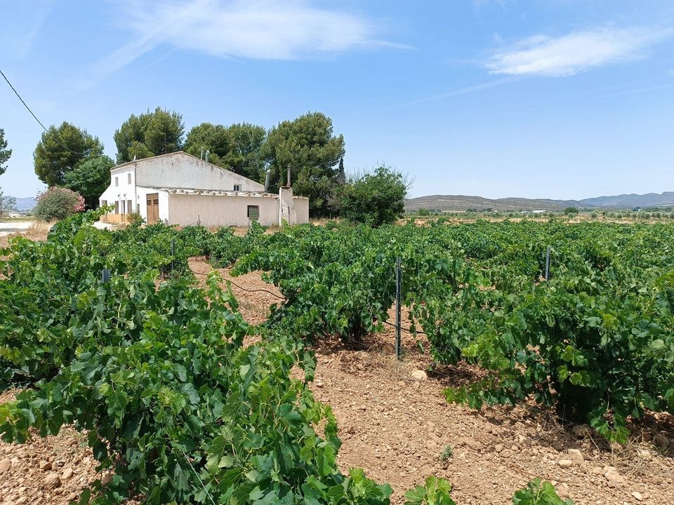 Casa de campo en Yecla, Murcia - foto 2
