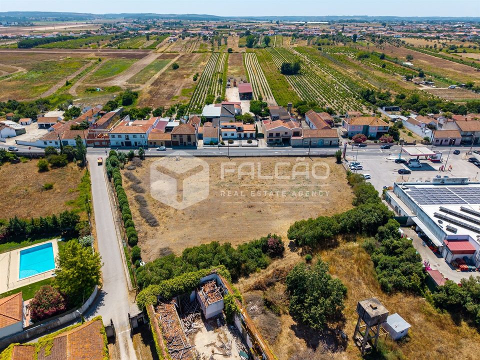 Terra em Alpiarca, Santarem - foto 4