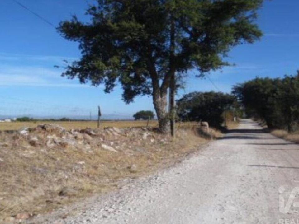 Grond in Estremoz, Evora - foto 4
