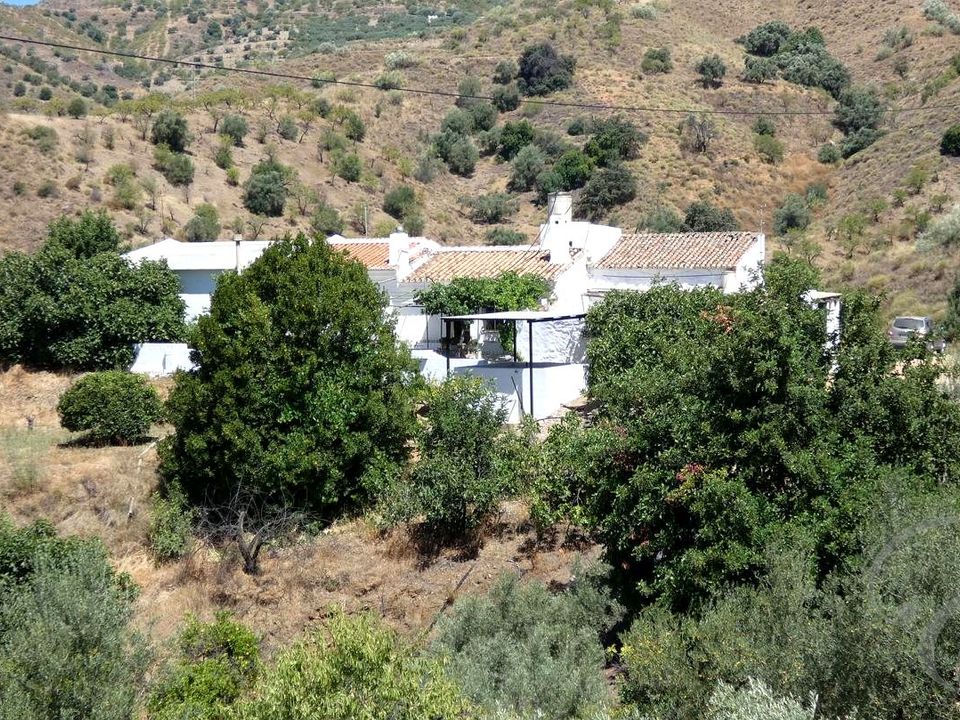 Herregård i Sedella, Malaga - bilde 1