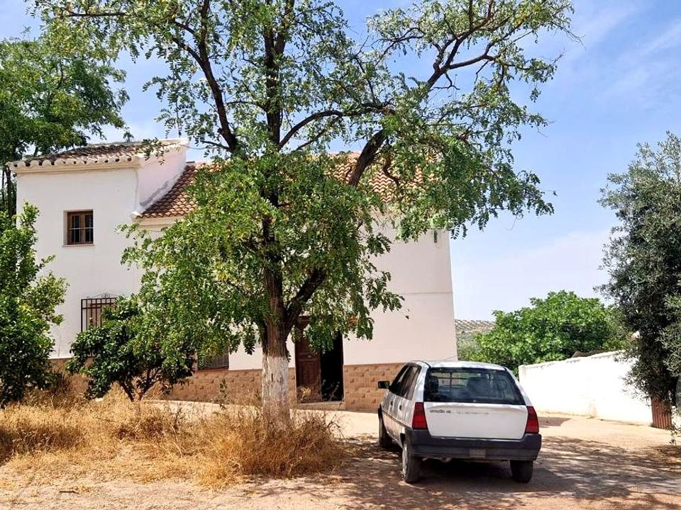 Landejendom i Villanueva De Algaidas, Malaga - foto 1