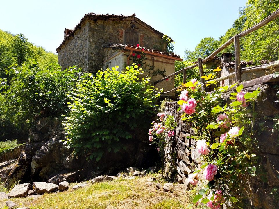 Villa i Pieve Fosciana, Lucca - foto 5