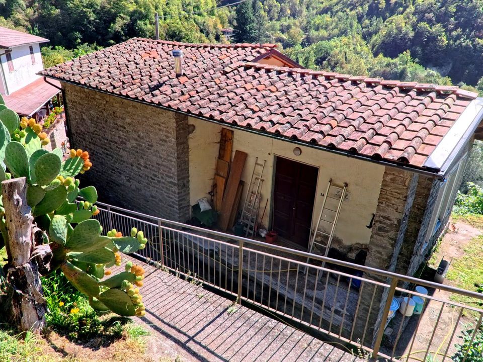 Villa a Castiglione di Garfagnana, Lucca - foto 2