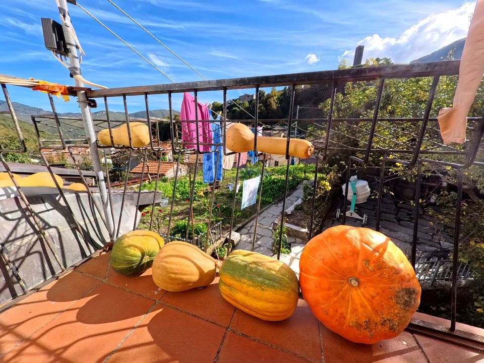 Villa i Vagli Sotto, Lucca - foto 1