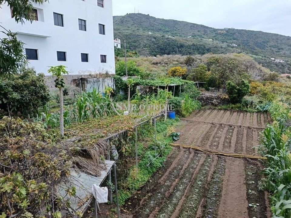 Casa de cidade em Icod, Tenerife - foto 2