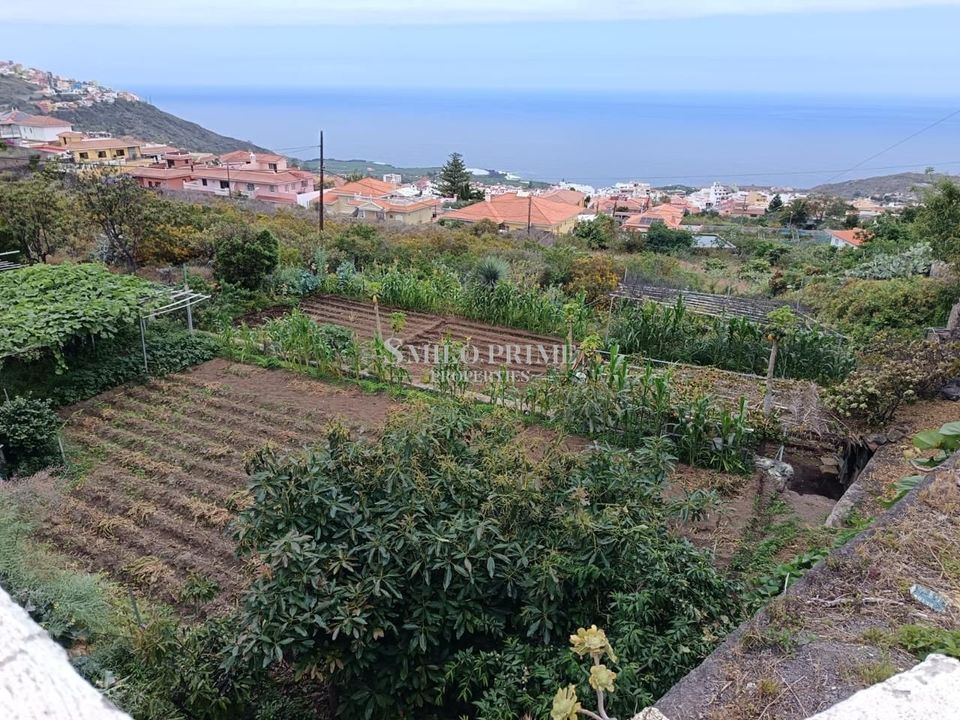 Casa de cidade em Icod, Tenerife - foto 4