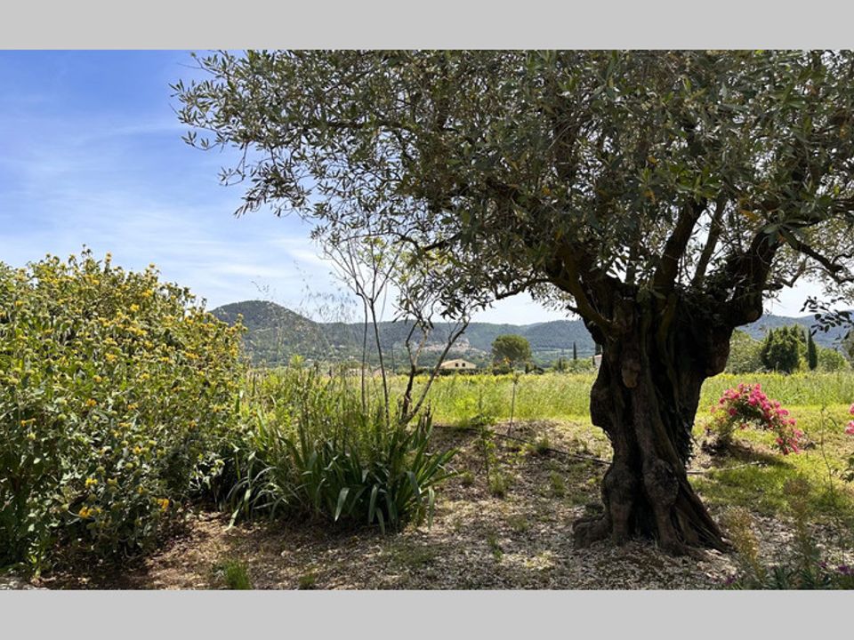 Haus in Séguret, Var - Foto 5