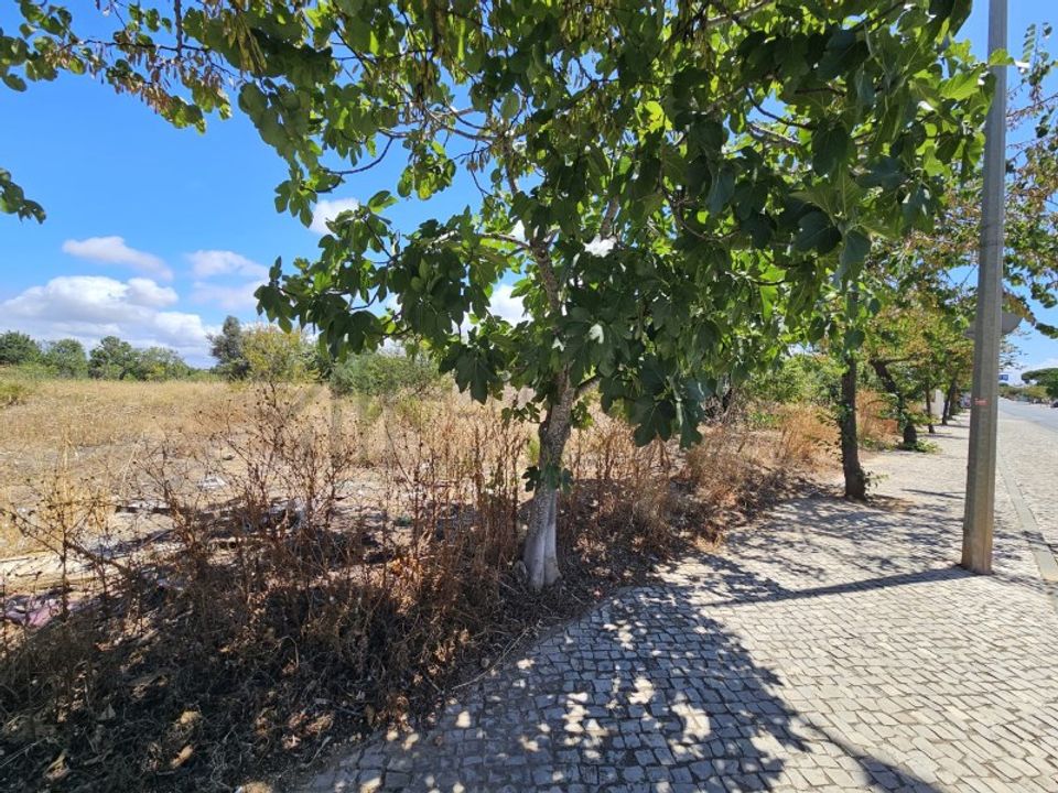 Terreno en Ferreiras, Faro - foto 4