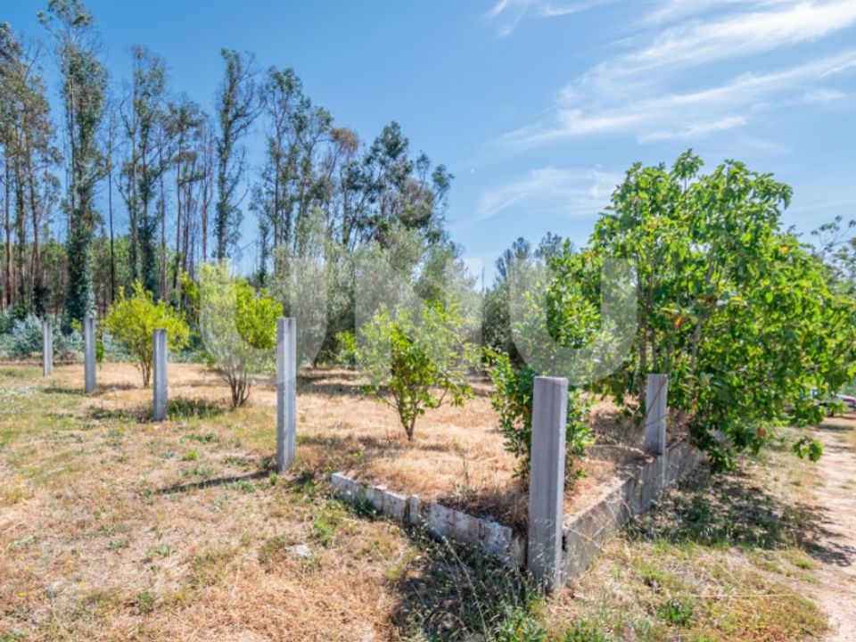 Tomt i Erada, Castelo Branco - foto 3