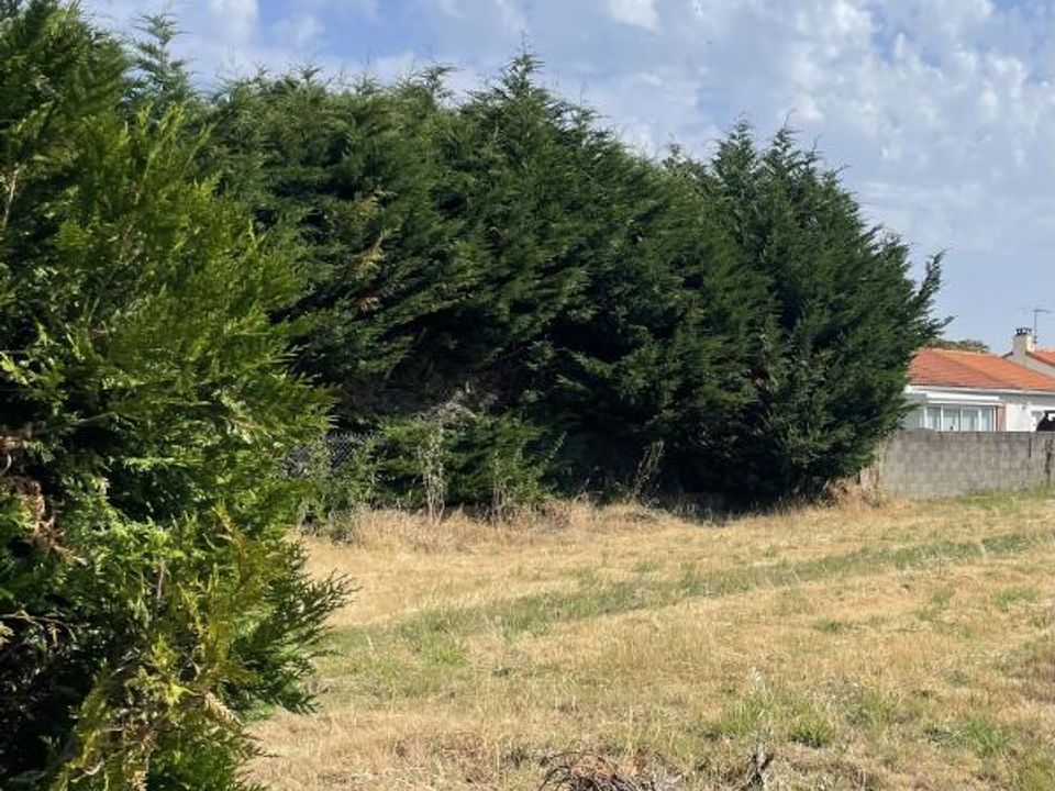 Tomt i Les Sorinières, Loire-Atlantique - bilde 1