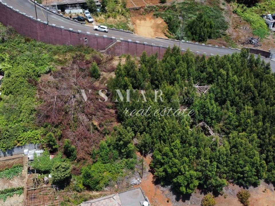 Helårsgrund i Ribeira Brava, Madeira - foto 2