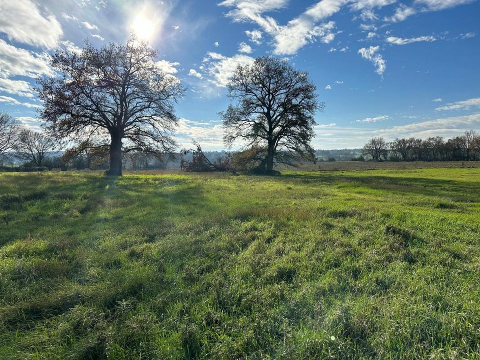 Grond in Reze, Loire-Atlantique - foto 1