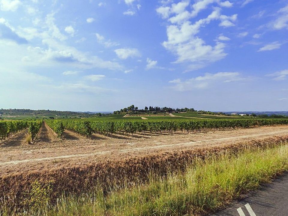 Helårsgrund i Pailhès, Herault - foto 1