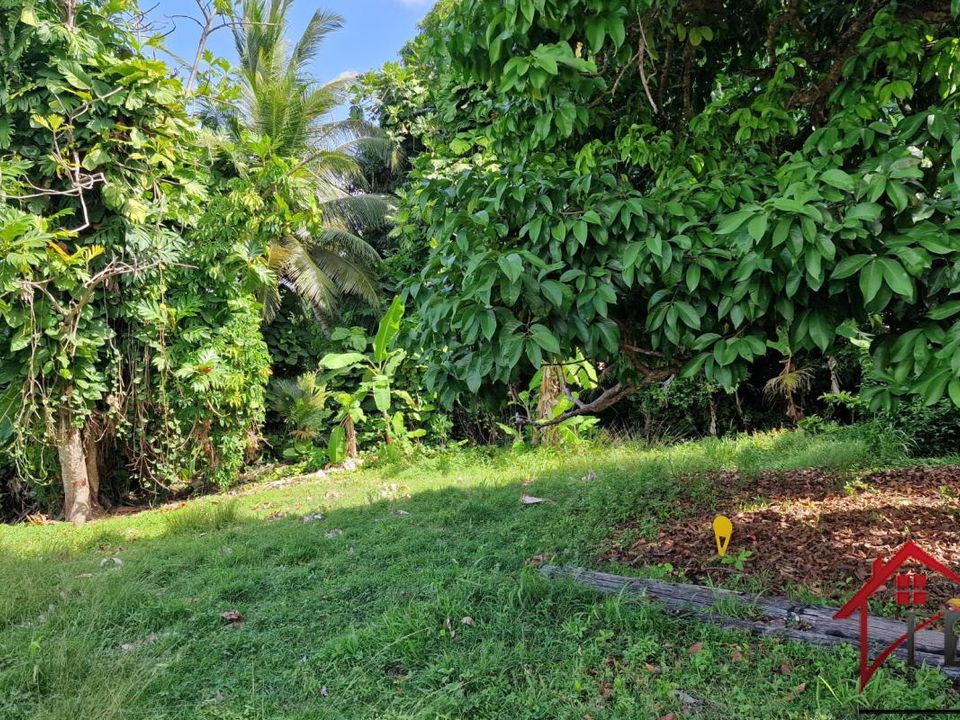 Terra a Petit-Bourg, Guadeloupe - foto 1