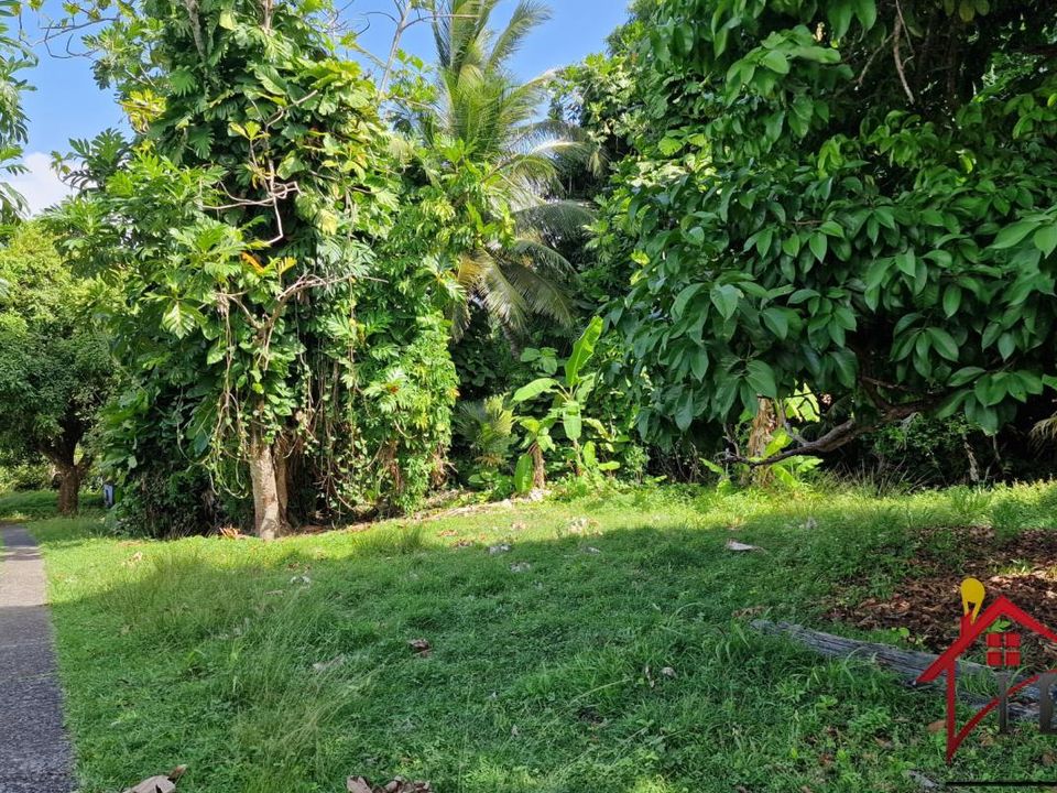 Terra a Petit-Bourg, Guadeloupe - foto 2