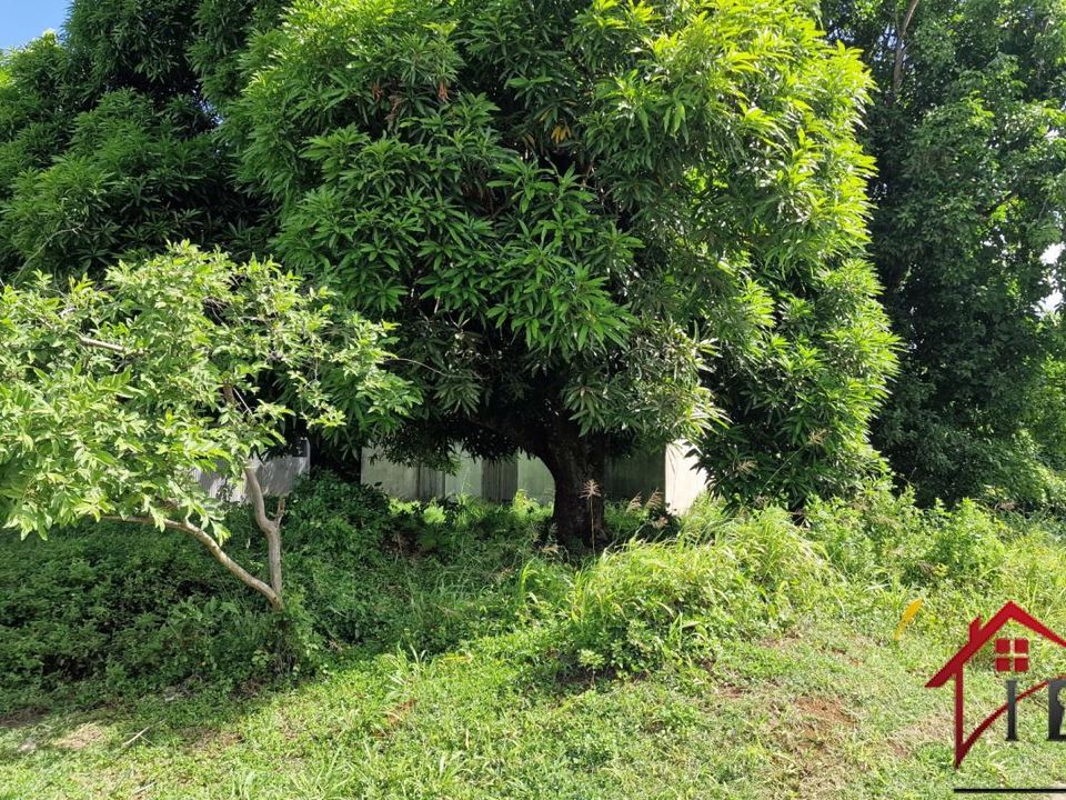 Terra a Petit-Bourg, Guadeloupe - foto 3