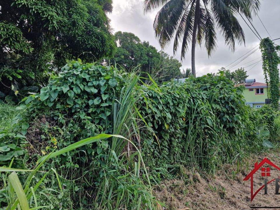 Terra a Petit-Bourg, Guadeloupe - foto 5
