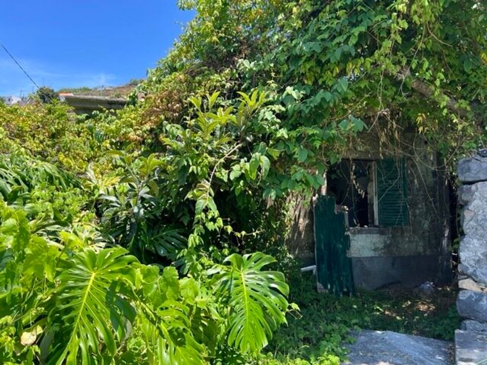 Villa i Ribeira Brava, Madeira - bilde 2