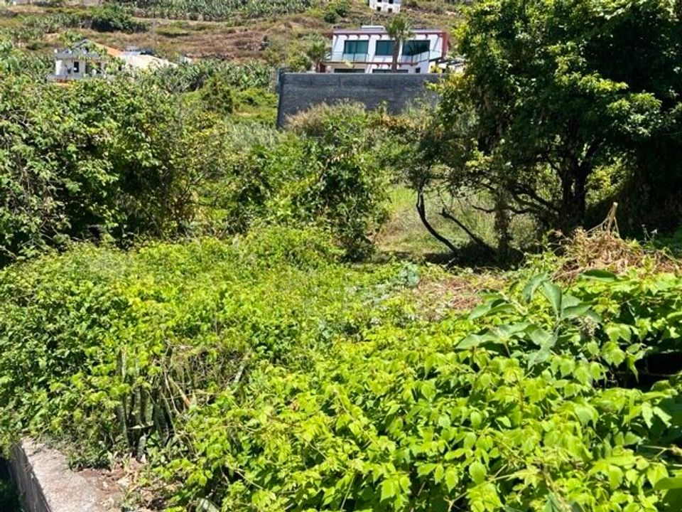 Villa i Ribeira Brava, Madeira - bilde 3