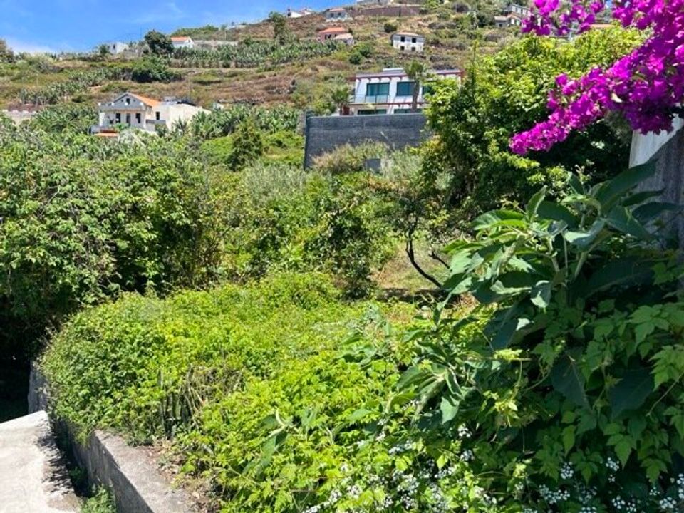 Villa i Ribeira Brava, Madeira - bilde 5
