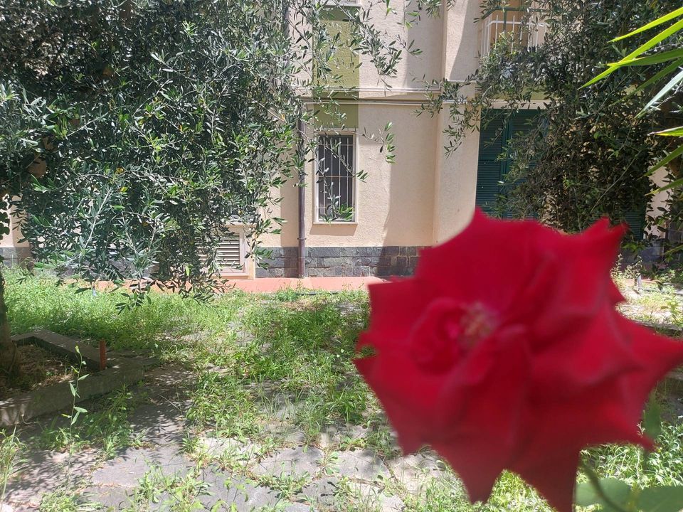 Lejlighed i Pietra Ligure, Savona - foto 1
