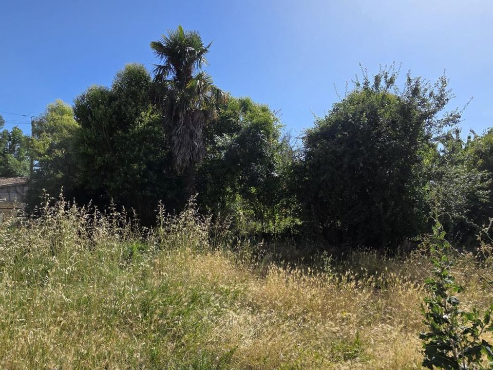 Villa a Saint-Thomas-De-Conac, Charente-Maritime - foto 3