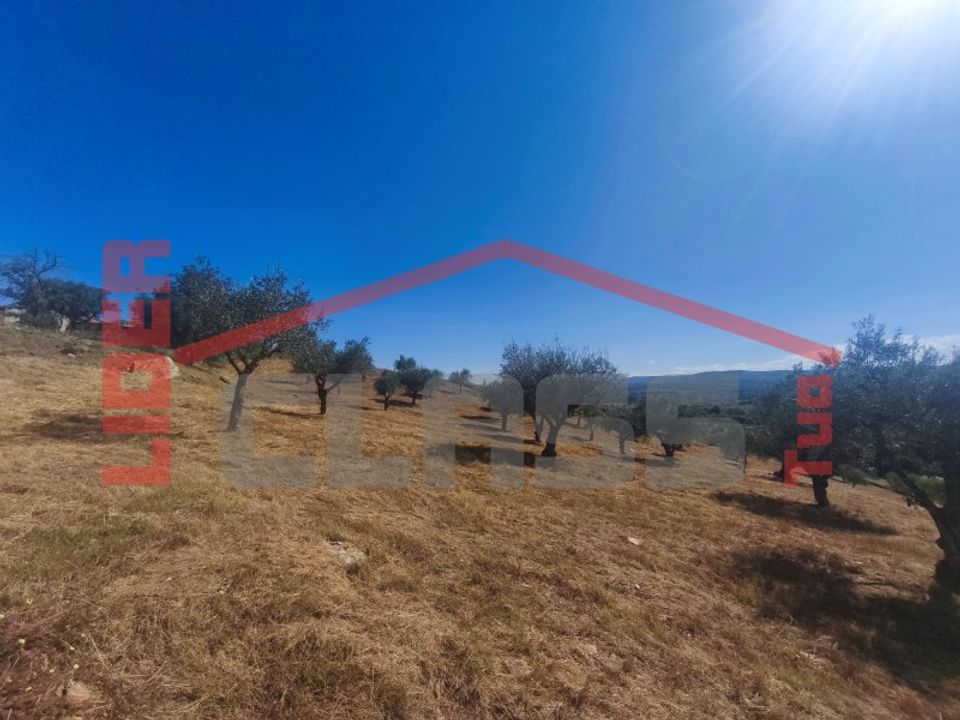 Helårsgrund i Mirandela, Braganca - foto 3
