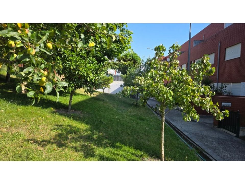 Lejlighed i Arcos de Valdevez, Viana do Castelo - foto 2