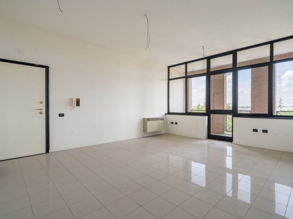 L'establiment comercial a San Felice sul Panaro, Modena - foto 1