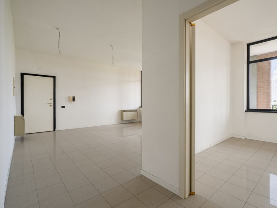 L'establiment comercial a San Felice sul Panaro, Modena - foto 3