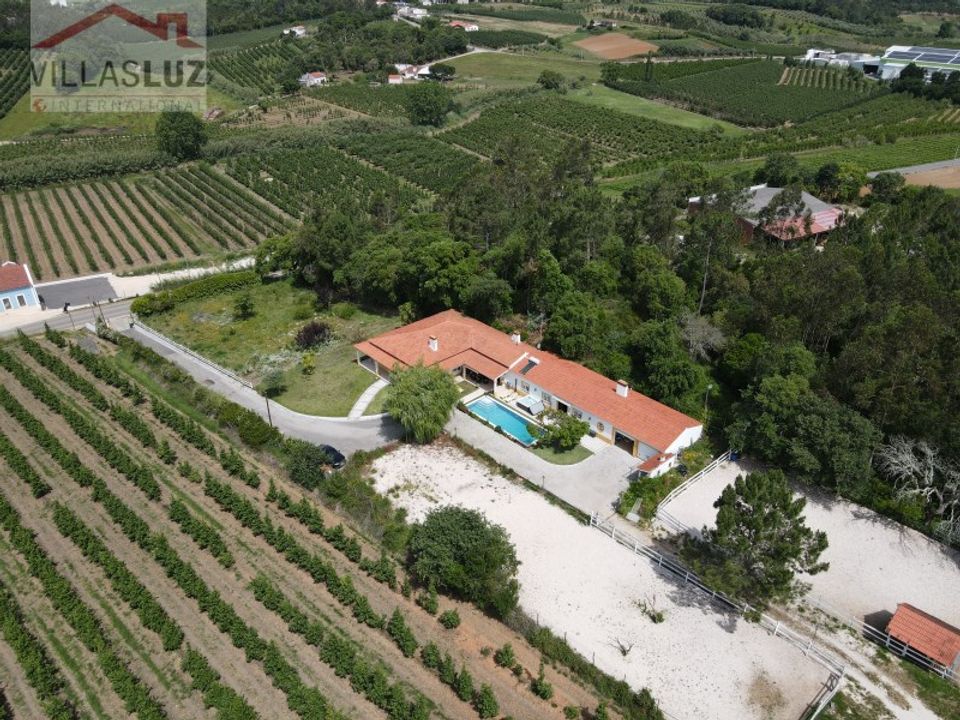 Villa i Alcobaca, Leiria - foto 4
