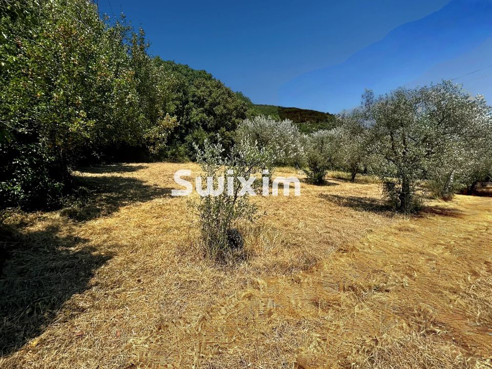 Terreno en Nyons, Drome - foto 1