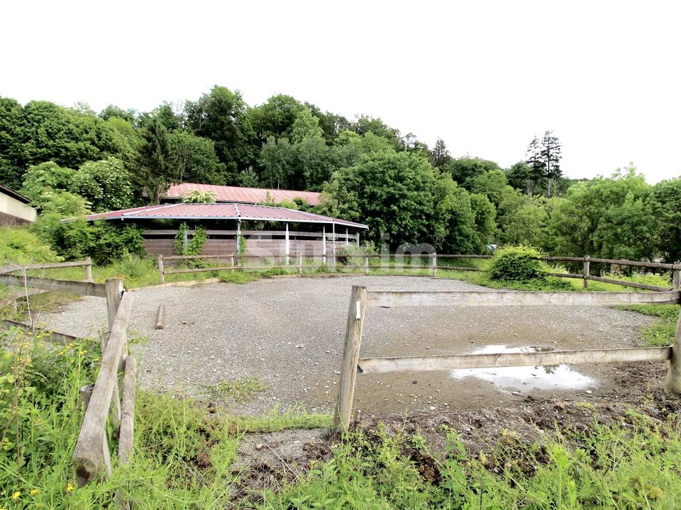 Hus på landet i Allinges, Haute-Savoie - foto 1