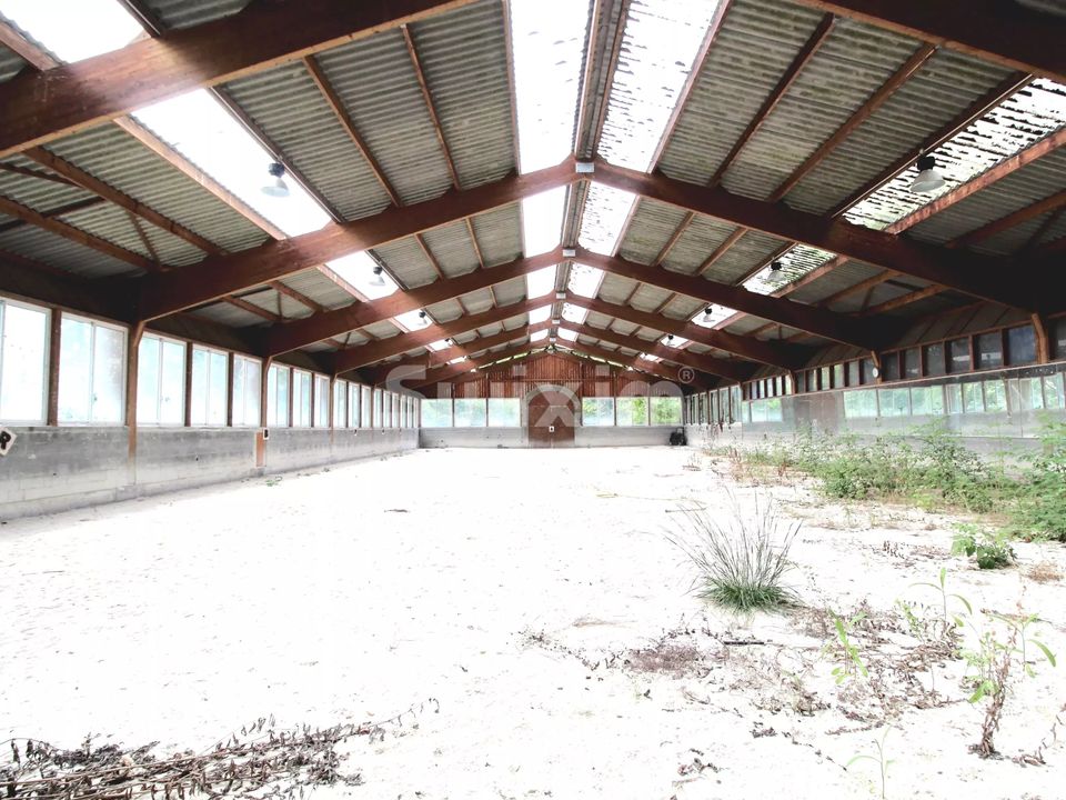 Hus på landet i Allinges, Haute-Savoie - foto 2