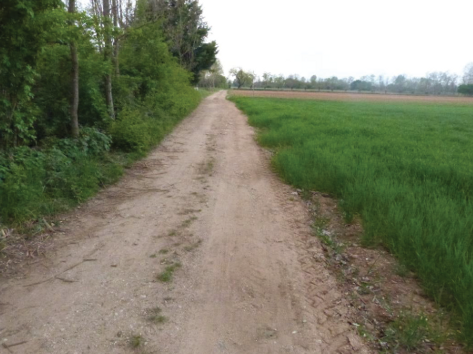 Grond in Paese, Treviso - foto 1