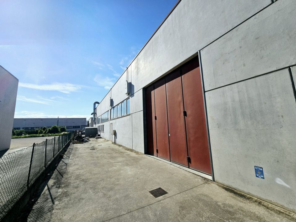 L'establiment comercial a Merlara, Padua - foto 4