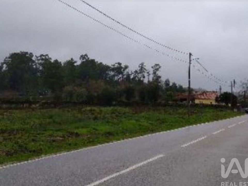 Terra a Tondela, Viseu - foto 1