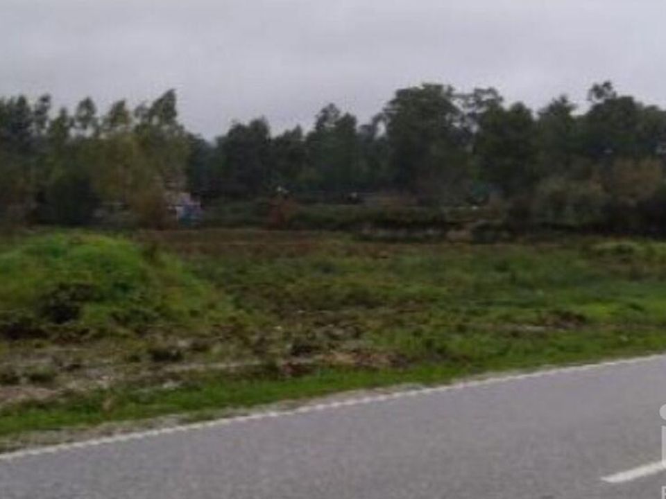 Terra a Tondela, Viseu - foto 2