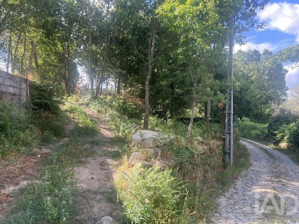 Tomt i Sao Pedro do Sul, Viseu - bilde 1